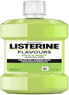 Buy Listerine Mild Minty Mouthwash 250ml in Egypt