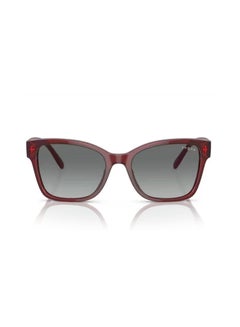 Buy Full Rim Cat Eye Sunglasses 0VO5534SI 53 292411 in Egypt