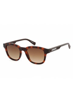 Buy Women's UV Protection Square Sunglasses - L966S_5020 230 - Lens Size: 50 Mm in UAE