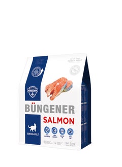 Buy Complete Food for Junior to Adult Cat Dry Food Salmon 2 kg in UAE