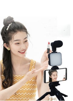 Buy Mobile phone holder for live broadcasting, with fill light in UAE