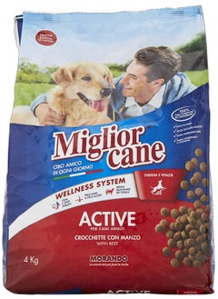 Buy Croquettes Active with Beef Dog Food 4 kg in UAE