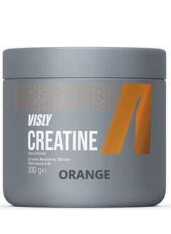 Buy Creatine Monohydrate, Orange Flavor, Visly, 300g, 60 Ser in UAE