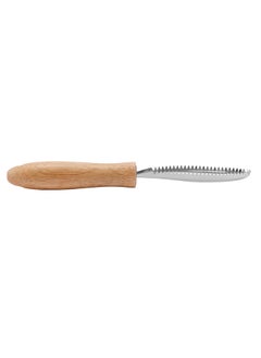 Buy Delcasa Fish Scale Scraper With Wooden Handle DC2782 in UAE