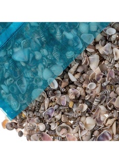 Buy Tiny Miniature Fairy Garden Sea Shell Assorted Mix | Tiny Small Sea Shells For Craft And Decoration | Plus Free Nautical Ebook By Joseph Rains (16 Ounces  1 500+) -- 16 Ounces  1 500+ in Egypt