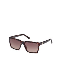 Buy Men's UV Protection Square Sunglasses - GU0008452F58 - Lens Size: 58 Mm in UAE