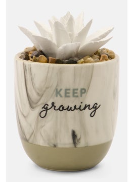 اشتري Succulent Oil Diffuser 3 D x 10 H cm, Ivory Combo في الامارات