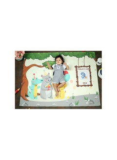 Buy Milestone Blanket and Props for Baby's Monthly Photoshoot in UAE