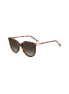 Buy Women's UV Protection Round Sunglasses - Ch 0024/S Havana 2 55 - Lens Size: 55 Mm in UAE