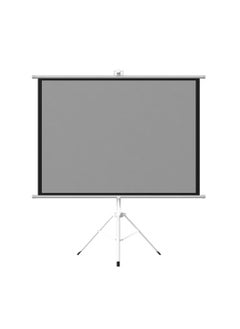 Buy 100 inch 4:3 Portable Projector Screen, Gray Fiberglass Material, with Tripod Stand ET100G-43 for Office and Outdoor in Saudi Arabia