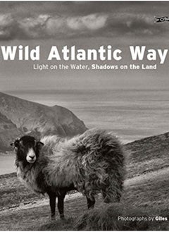 Buy Wild Atlantic Way : Light on the water, shadows on the land in Saudi Arabia