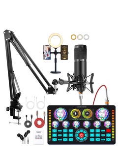 Buy Podcast Equipment Bundle with Ring Light and Phone Holder ,Audio Interface and XLR Condenser Microphone, Studio Equipment with 48V Phantom Power, Bluetooth for Podcast, Streaming, Voice Over, Singing, in Saudi Arabia