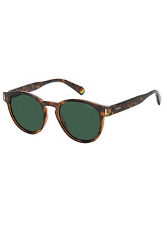 Buy Unisex Wayfarer Sunglasses PLD 6175/S  HVN 51 in Saudi Arabia