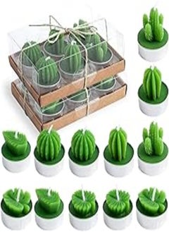 اشتري 12 Pcs Succulent Cactus Candles No Repeat Pattern, Delicate Scented Smokeless Candles for Home Decor, Spa, Wedding, Valentine's Day, Birthday Gift, Anniversary Celebration في مصر