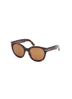 اشتري Women's Cat Eye Shape Acetate Sunglasses FT111452E54 Lens Size: 54 Millimeter - Dark Havana في السعودية