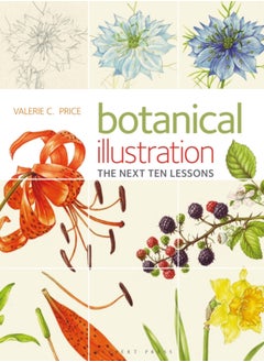 اشتري Botanical Illustration : The Next Ten Lessons: Colour and Composition في السعودية