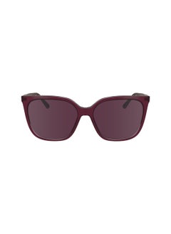 اشتري FULL RIM ACETATE MODIFIED RECTANGLE CALVIN KLEIN SUN CK24509S  5616 (613) CHERRY/ROSE في الامارات