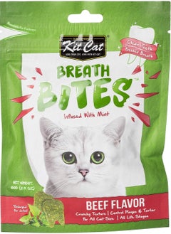 Buy Breath Bites Beef Flavor Infused With Mint Cat Treats 60g in UAE