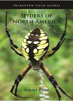 Buy Spiders Of North America by Rose, Sarah - Eaton, Eric R. Paperback in UAE