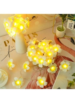 Buy 20 PCS LED Artificial Plumeria Flower String Lights Hawaiian Foam Flower Light USB Powered Fairy String Light for Bedroom Birthday Wedding Beach Party in Saudi Arabia