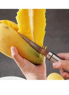 اشتري Mango Slicer, Mango Seed Separator, Mango Peeler, Mango Core Remover, Stainless Steel Blade Remover, Anti Slip Handle, Mango Kernel Remover, Perfect Mango Meat Separator في الامارات