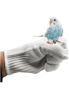 اشتري Bird Training Anti-Bite Gloves Parrot Chewing Safety Protective Steel Wire Gloves Small Animal Handling Gloves fit for Parrot Squirrels Hamster Hedgehog (1 Pair, White) في الامارات