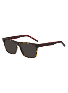 اشتري Men's Uv Protection Rectangular Shape Acetate Sunglasses Hg 1242/S Grey 42 - Lens Size: 42.4 Mm - Havan Red في الامارات