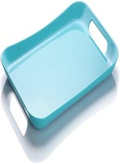 اشتري Large Tray 50x30 cm (Teal) في مصر