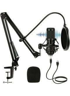 Buy USB Condenser Microphone Kit, Plug and Play Streaming Podcast PC Mic with Sound Card Boom Arm Shock Mount Pop Filter, Professional 192kHz/24bit Cardioid Recording Microphone for Skype Youtuber in Saudi Arabia