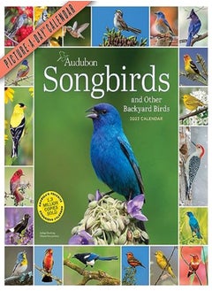 Buy Audubon Songbirds And Other Backyard Birds Pictureaday Wall Calendar 2023 A Beautiful Bird Filled by Workman Calendars - National Audubon Society Paperback in UAE