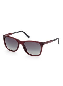 Buy Men's Polarized Square Shape Plastic Sunglasses TB925569R56 - Lens Size: 56 Mm - Shiny Bordeaux in UAE