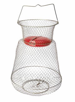 Buy Fishing Net 1Pcs 450g Fish Trap Floatable Collapsible Galvanized Steel Wire Fish Basket Portable Fishing Basket Robust Easy to Use Cast nets for Fishing for Fishing Hiking Equipment Supplies in UAE