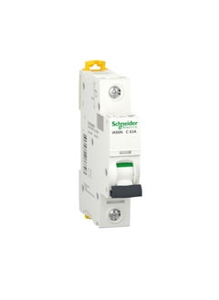 اشتري Acti9 Ik60N Miniature Circuit Breaker 1P, 63 A, C Curve (A9K24163) في مصر