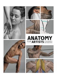 اشتري Anatomy for Artists : A visual guide to the human form في الامارات