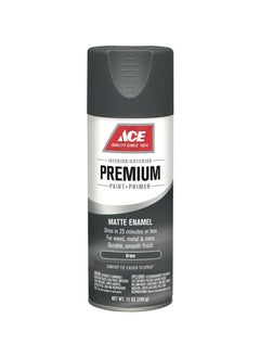 Buy Premium Paint + Primer Matte Enamel Spray Paint (340g Iron) in Saudi Arabia