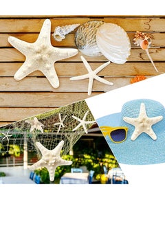 اشتري 12 PCS Starfish 2.5-6 Inch Starfish Decor Natural Bulk Starfish Shells Perfect for Crafts Making Beach Theme Party Wedding Decoration, Home Wall Decor, Ornaments, Fish Tank في الامارات