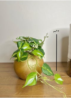 Buy Artificial Hanging Plant for Home Décor in Gold Pot in a Circular Shape in Saudi Arabia