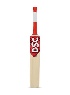 Buy Roar Hunter Kashmir Willow Cricket Bat in UAE