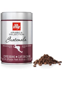 اشتري Illy Arabica Selection Coffee Guatemala Whole Beans 250g في مصر