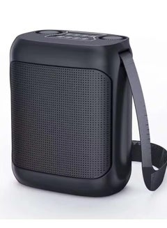 Buy YS-220 Outdoor Karaoke Speaker Big Strap Speaker With Dual UHF Wireless Microphone Black in UAE