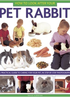 Buy How to Look After Your Pet Rabbit in Saudi Arabia