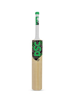 Buy Roar Hunter Kashmir Willow Cricket Bat, Size: 2 in Saudi Arabia