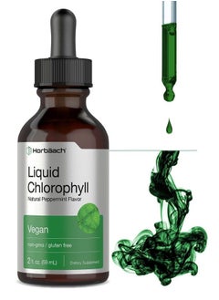 Buy Liquid Chlorophyll | 2 oz | Vegan, Non-GMO, and Gluten Free Formula | Natural Peppermint Flavor | by Horbaach in UAE