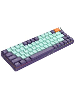 Buy Wireless Mechanical Keyboard with 67 Keys Hot swappable with RGB Backlit in UAE