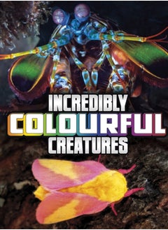 Buy Incredibly Colourful Creatures in Saudi Arabia