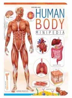 Buy Human Body Minipedia in UAE