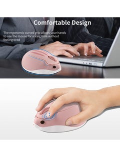 Buy Wireless Mouse C ute Hamster Shaped Computer Mouse 1200DPI Less Noice Portable USB Mouse Cordless Mouse for PC Laptop Computer Notebook for MacBook Kids Girl Gift(Pink) in Saudi Arabia