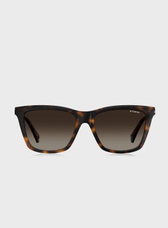 Buy Pld 4081/S Sunglasses in UAE