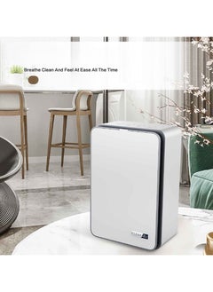 اشتري Household Machine Negative Ion Air Purifier في الامارات