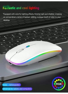 Buy Dual Mode Wireless Mouse With Mute Functionality, Rgb Backlight And Rechargeability in UAE